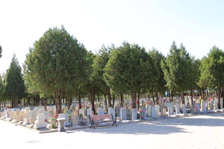 八宝山人民公墓绿化