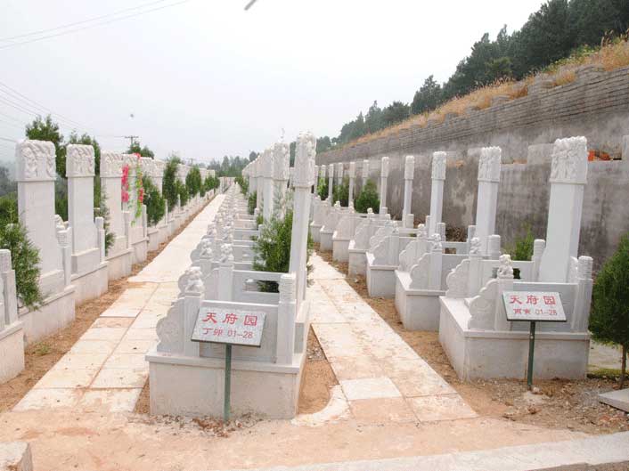 墓区环境整洁