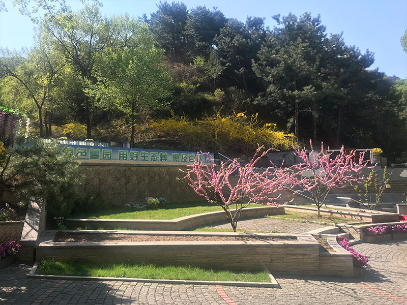 八达岭陵园山坡