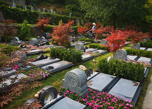 生生相依（家庭式）