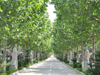 灵山宝塔陵园开放时间及交通路线指南