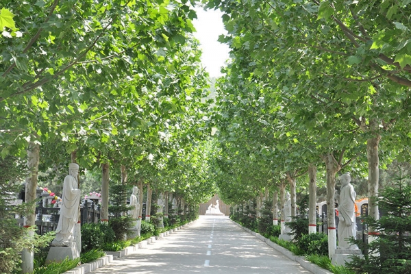 灵山宝塔陵园开放时间及交通路线指南