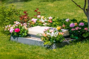 九公山长城纪念林交通指南与环境实景介绍