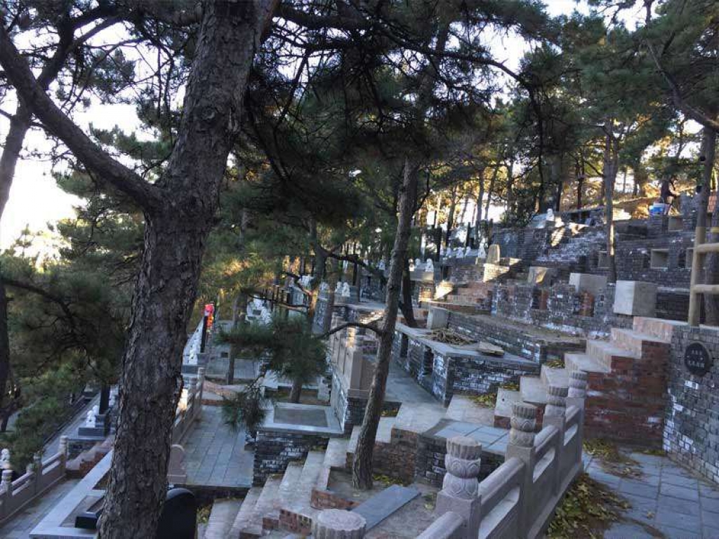 金山陵园山坡
