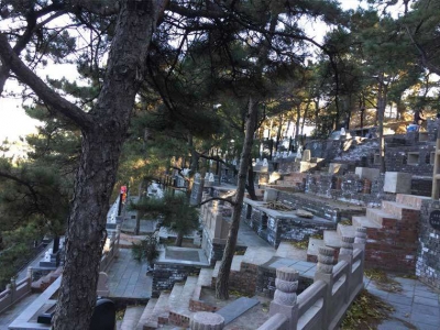 金山陵园开放时间及专车服务指南