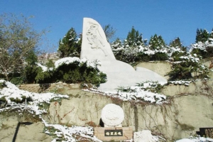  万佛华侨陵园实地探访：环境设施与服务全解析