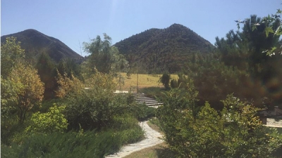 八达岭人民公墓绿化