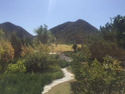 八达岭人民公墓环境优美绿化覆盖率高交通便利