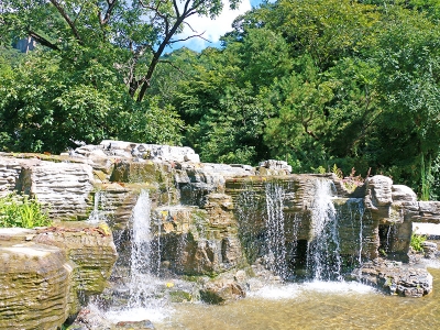 九公山长城纪念林环境特色与预约指南