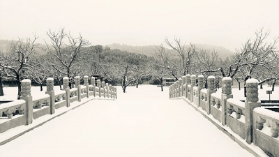 怀柔凤凰山陵园冬季