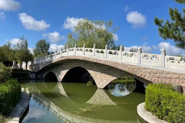 中华永久陵园性质解析：公益与经营模式对比