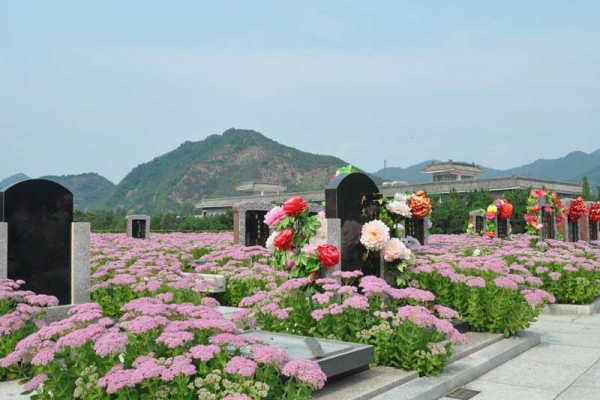 清东陵万佛园陵园环境优美服务周到