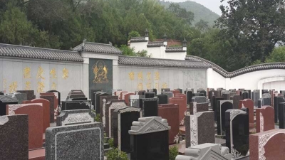 墓区实拍