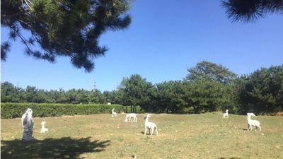 八达岭人民公墓景观