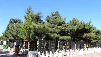 八宝山墓区景观