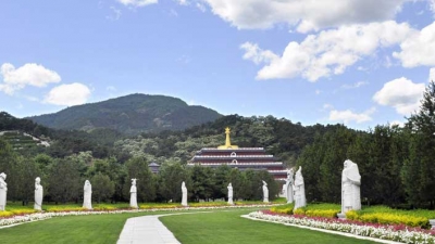 清东陵万佛园草坪