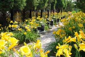 思亲园陵园交通指南与实景展示