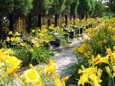 思亲园陵园交通指南与实景展示