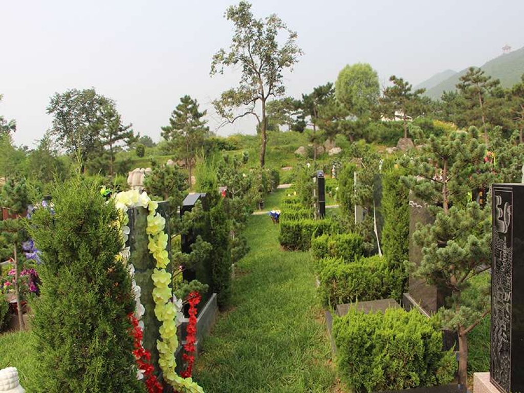 墓地周边绿化