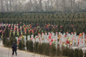 万桐园公墓墓区