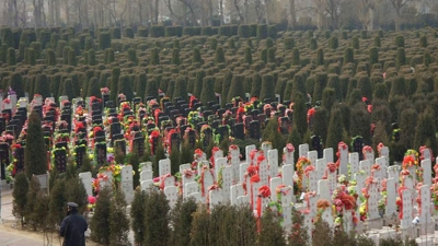 万桐园公墓墓区