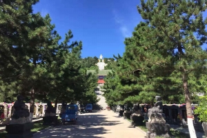 陵园灵山灵泉大佛