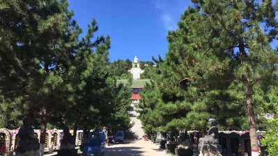 陵园灵山灵泉大佛