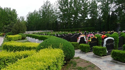 墓地绿化