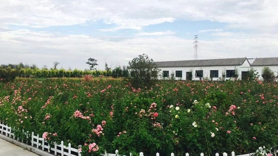 清颐园公墓环境