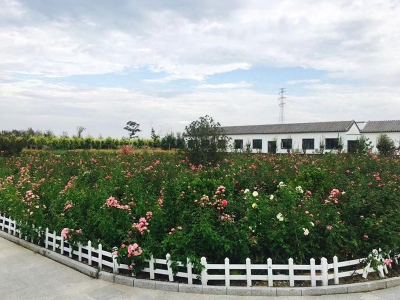 清颐园公墓选墓指南与惠民详情