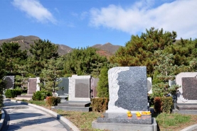 天寿陵园墓区景观