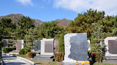 天寿陵园墓区景观