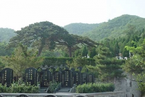 温泉墓园墓区