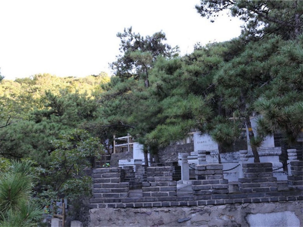 金山陵园山坡