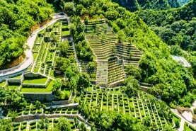 九公山墓区航拍