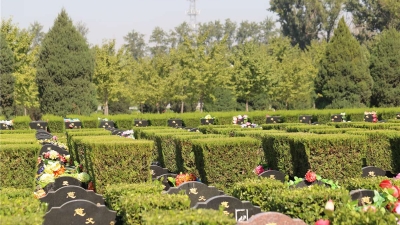 长青园骨灰林墓型