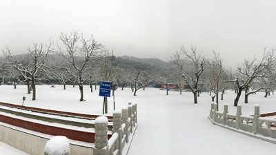 怀柔凤凰山陵园冬日景象