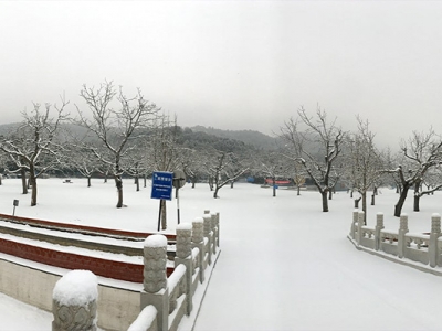 怀柔凤凰山陵园环境优美 专业殡葬服务值得信赖