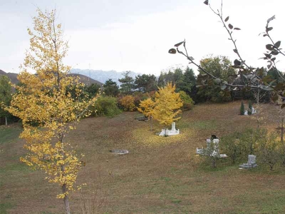 华龙皇家陵园环境设施与在线选墓指南