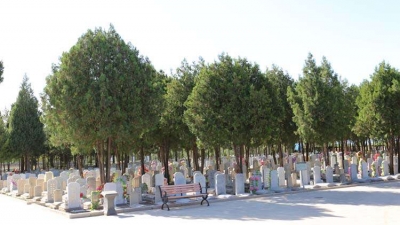 八宝山人民公墓绿化