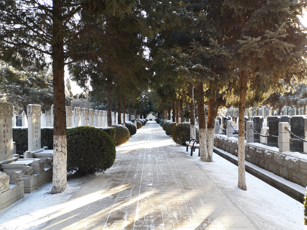 通惠陵园冬日景象