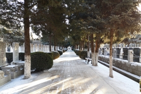 通惠陵园冬日景象