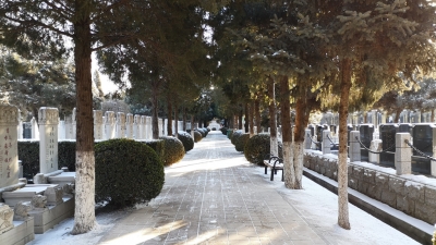 通惠陵园冬日景象