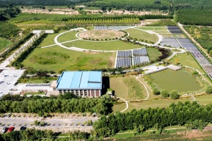 施孝生态陵园绿化