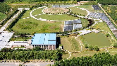 施孝生态陵园绿化