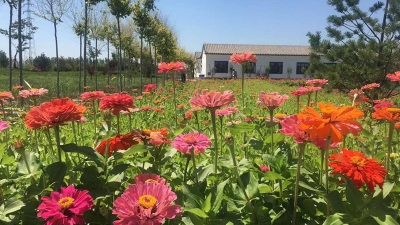 清颐园公墓随拍