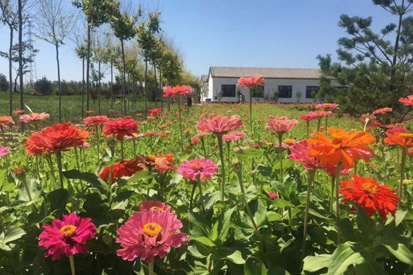 清颐园公墓特色服务与费用解析