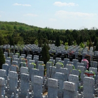 龙雕汉白玉墓碑