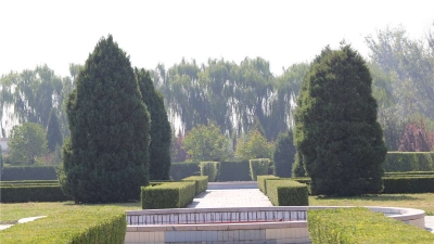 长青园骨灰林环境