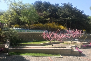 八达岭陵园山坡